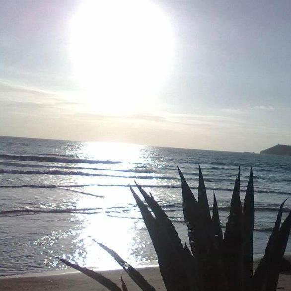 Mansardina Sassu Apartment Alghero Cameră foto